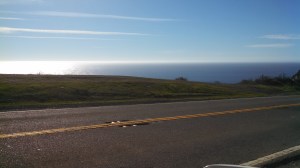 IMG_20141108_144626_556