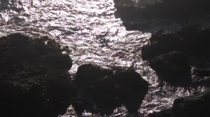 IMG_20141108_161705_773