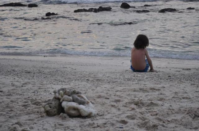 Found on technonaturalist.net.