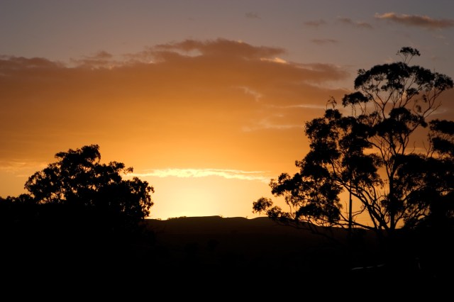 Fir0002:Flagstaffotos