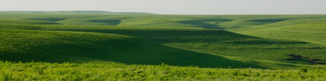 Kansas prairie