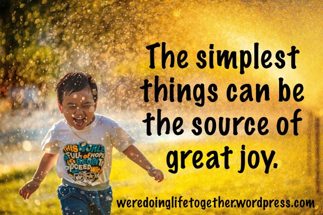 simple joy